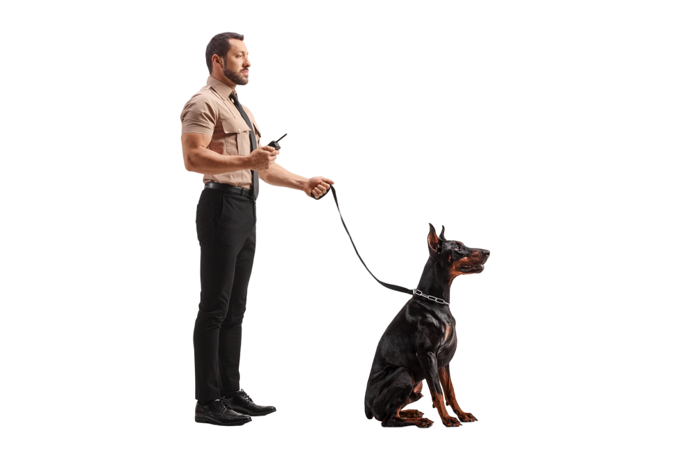 elite uk group ltd - professional security gaurd