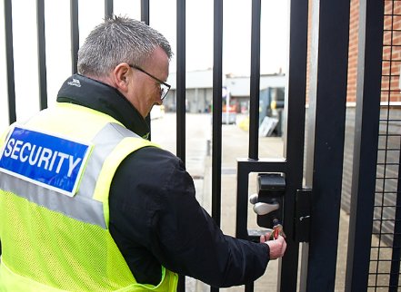 SAB Professional - k9